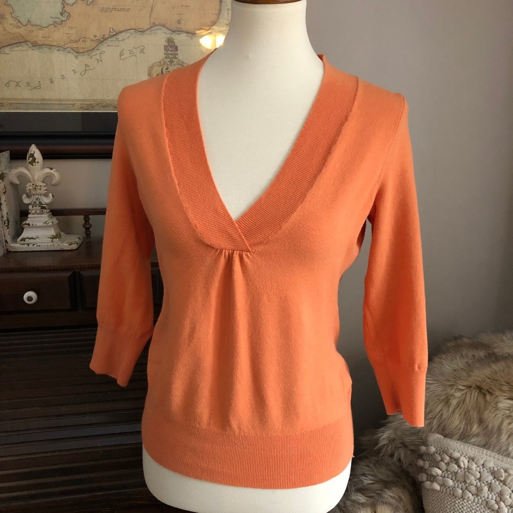 THE LIMITED V NECK SWEATER